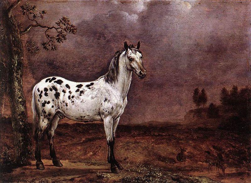 paulus potter The Spotted Horse oil painting image